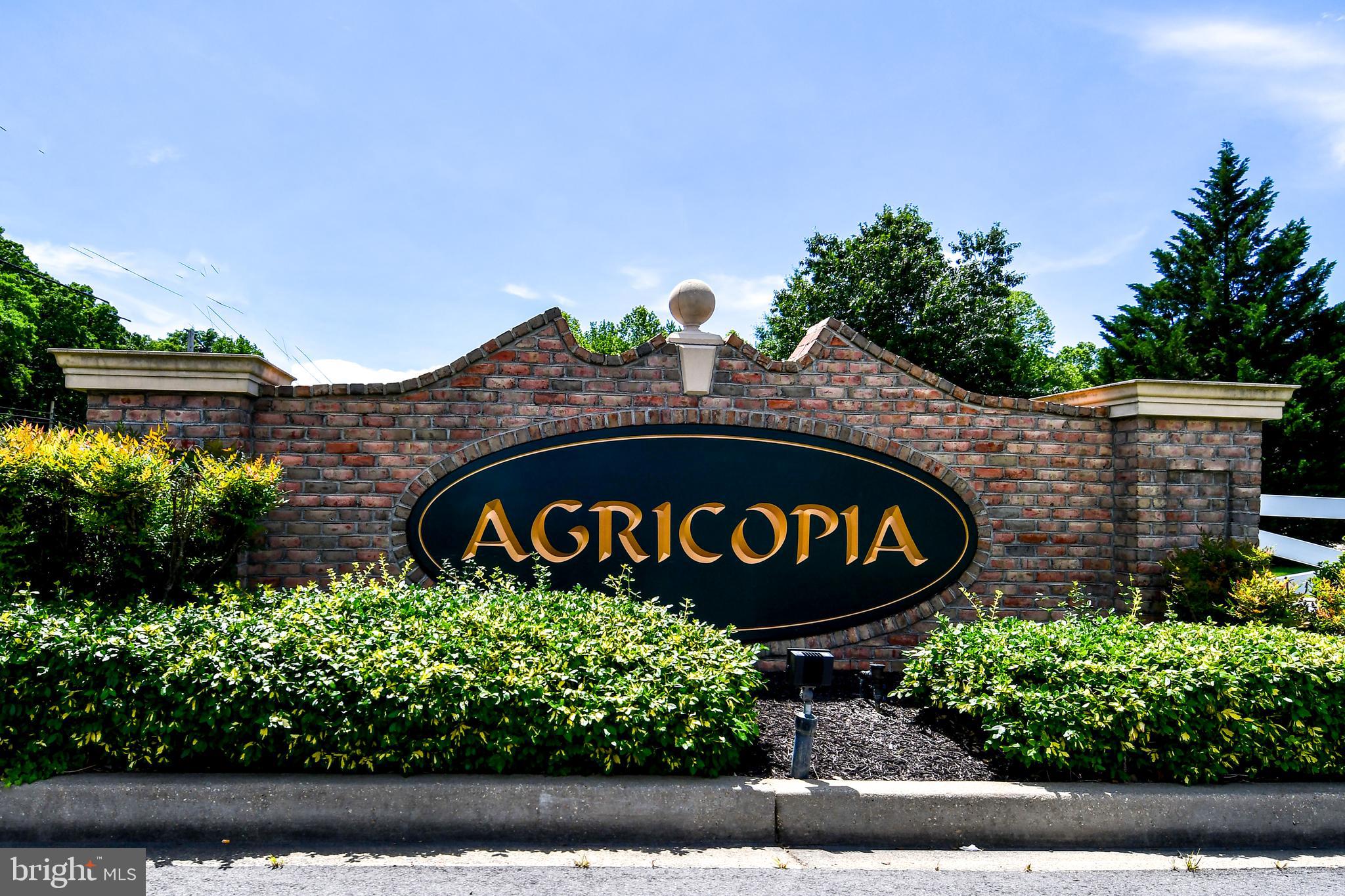 1037 AGRICOPIA DRIVE