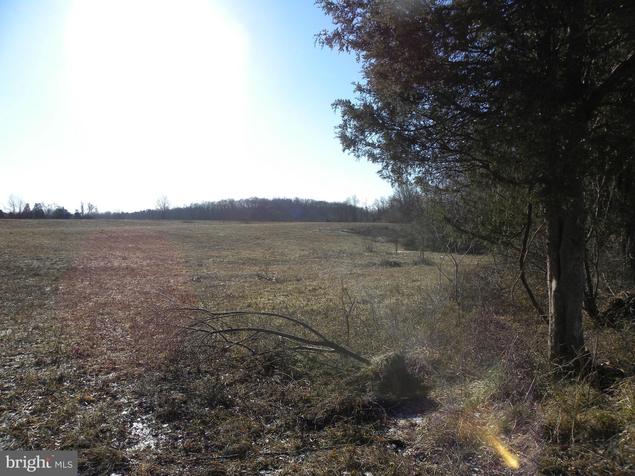 NONE AVAILABLE - Land