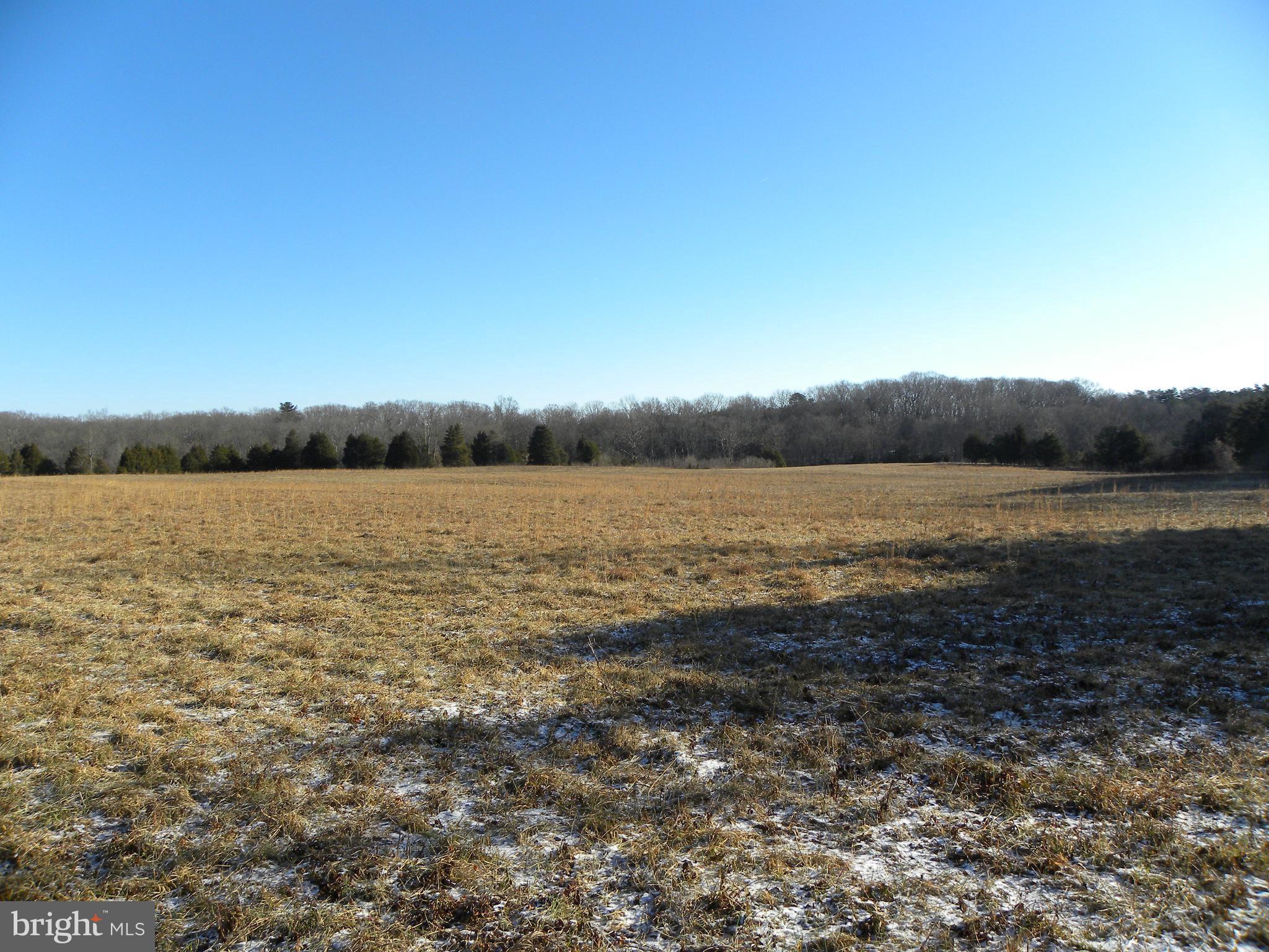 NONE AVAILABLE - Land