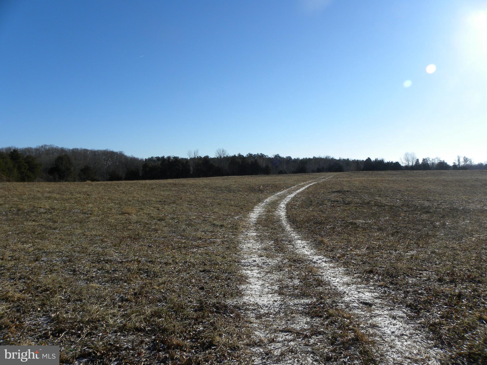 NONE AVAILABLE - Land