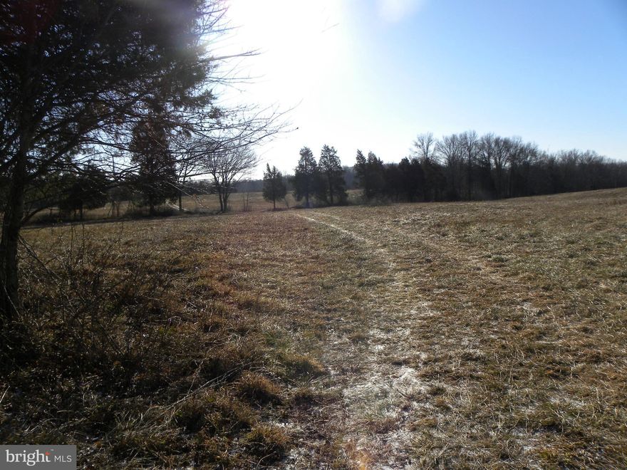 176+ acres in Rural Cresent area of northern Prince William. Backs up to Regional park and Softball fields in Catharpin. Development potential for 10 acre lots. Beautiful rolling topography. Former farm land. Includes Tax ID 7400 80 7882 and 7400 71 3987. Purchaser is responsible for any rollback taxes. Potential entrance is directly across from Green Gables subdivision.