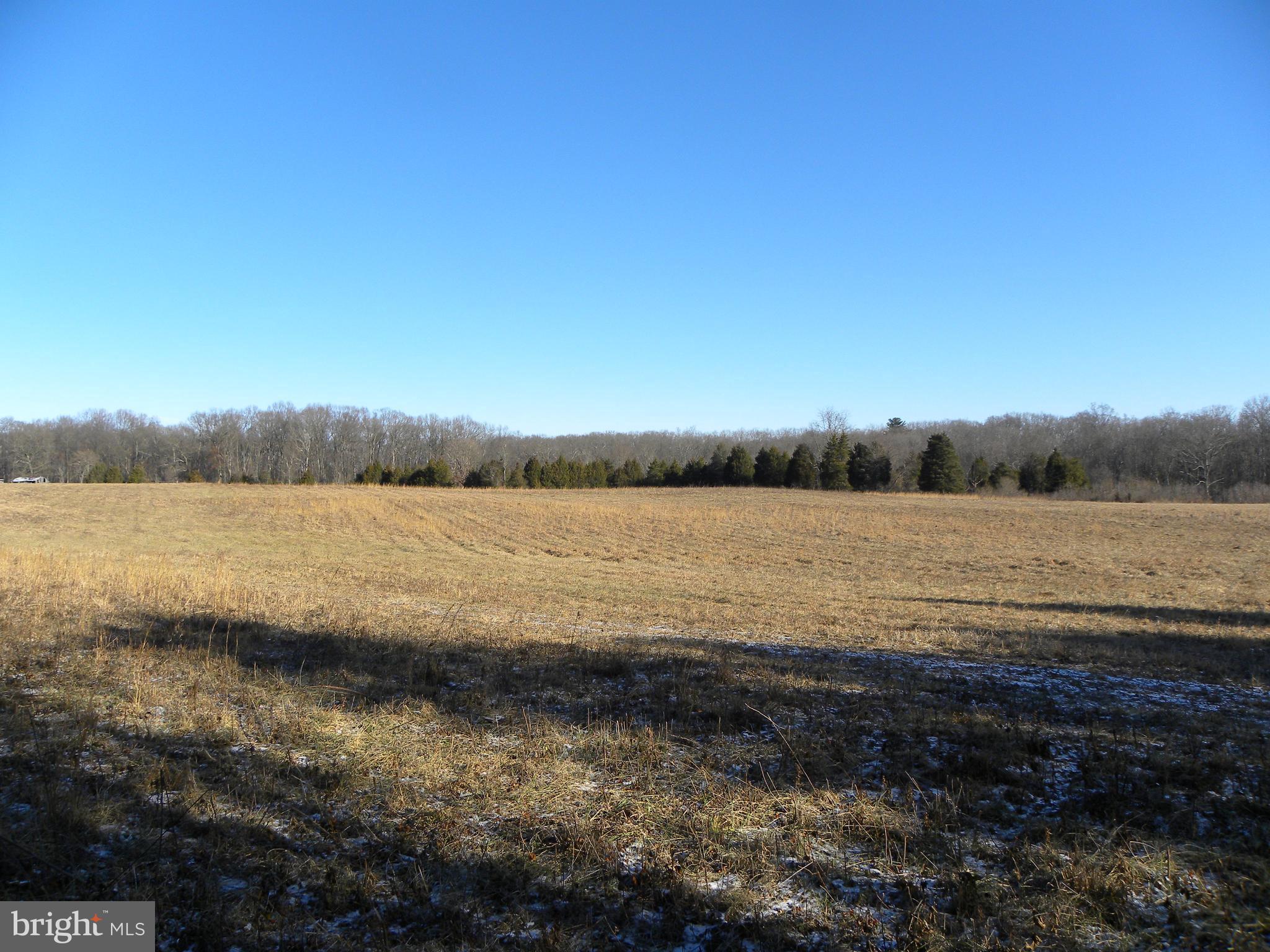 NONE AVAILABLE - Land