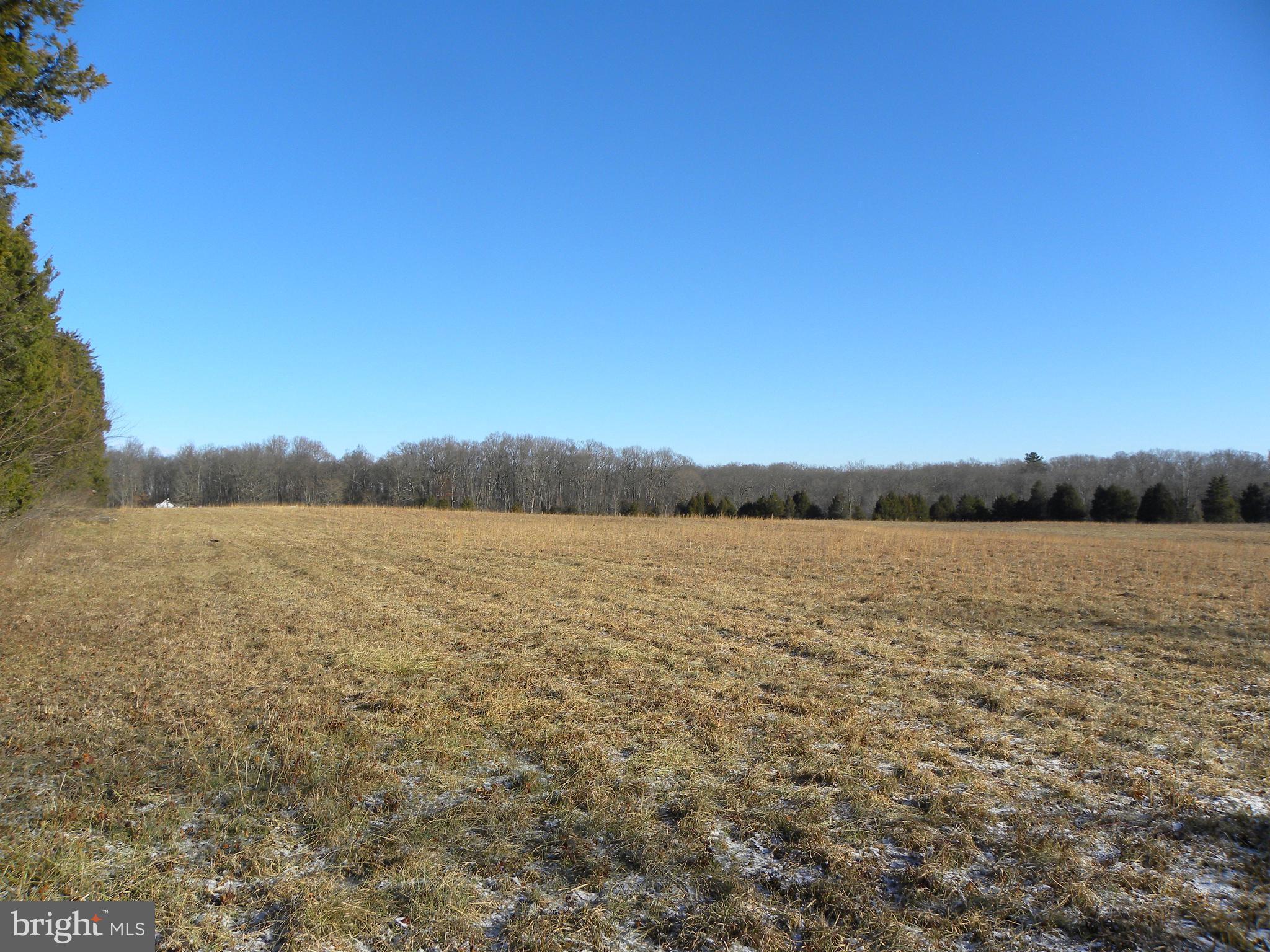 NONE AVAILABLE - Land