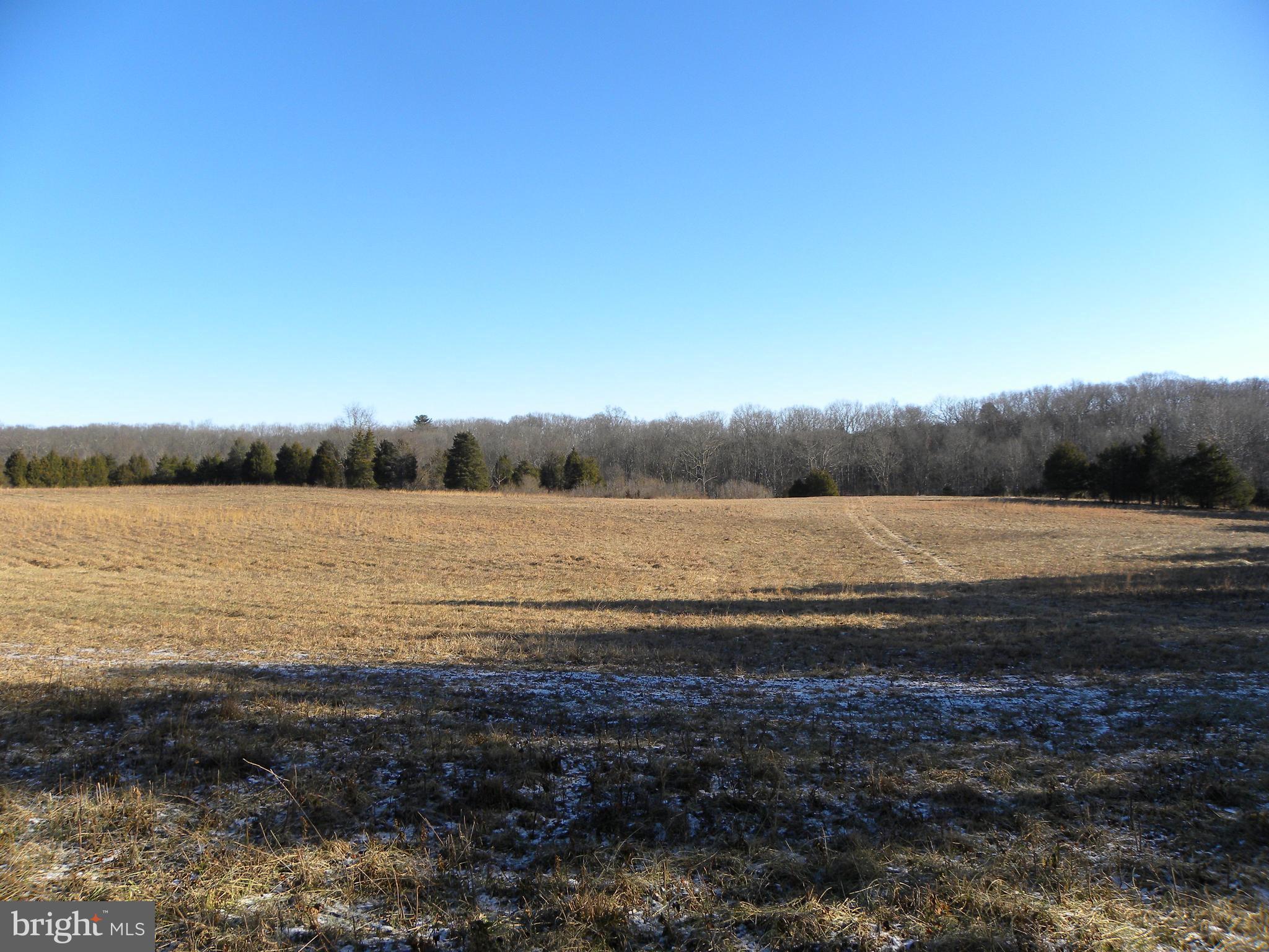 NONE AVAILABLE - Land