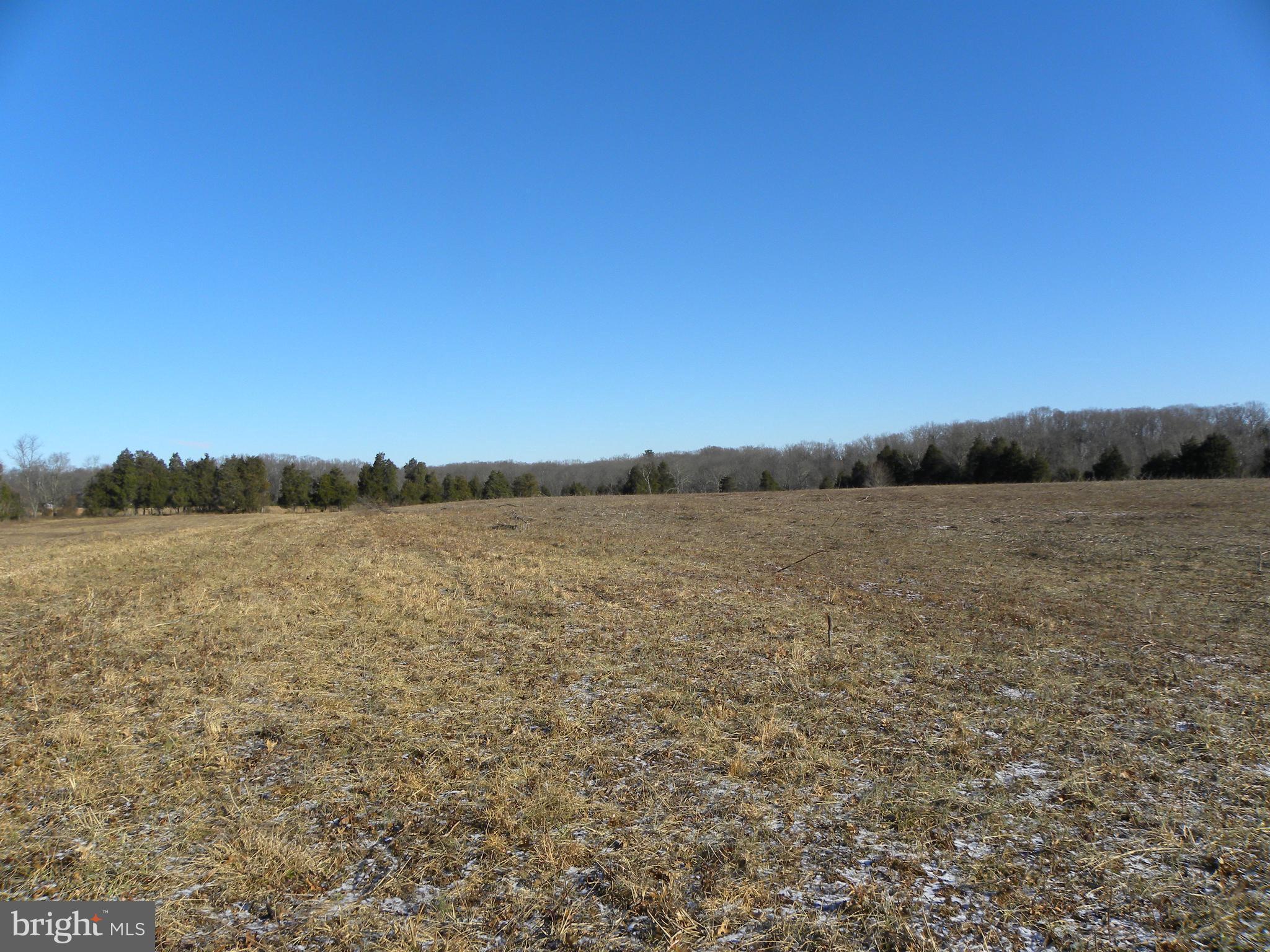 NONE AVAILABLE - Land