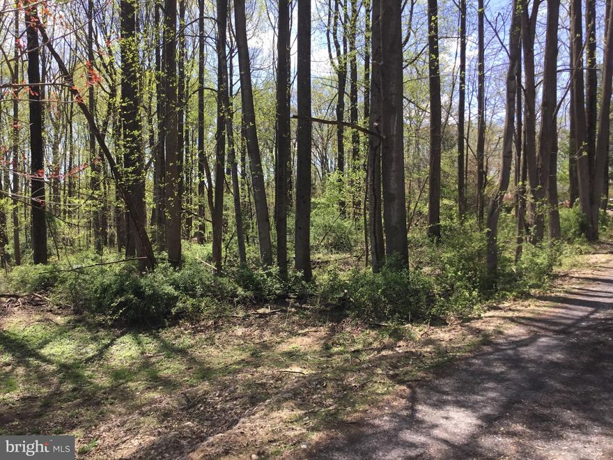 1 acre of land for sale. Buyer to determine whether buildable, however, Carrol County Zoning and Resource department both stated that this is a buildable lot. However, seller makes no guarantees.