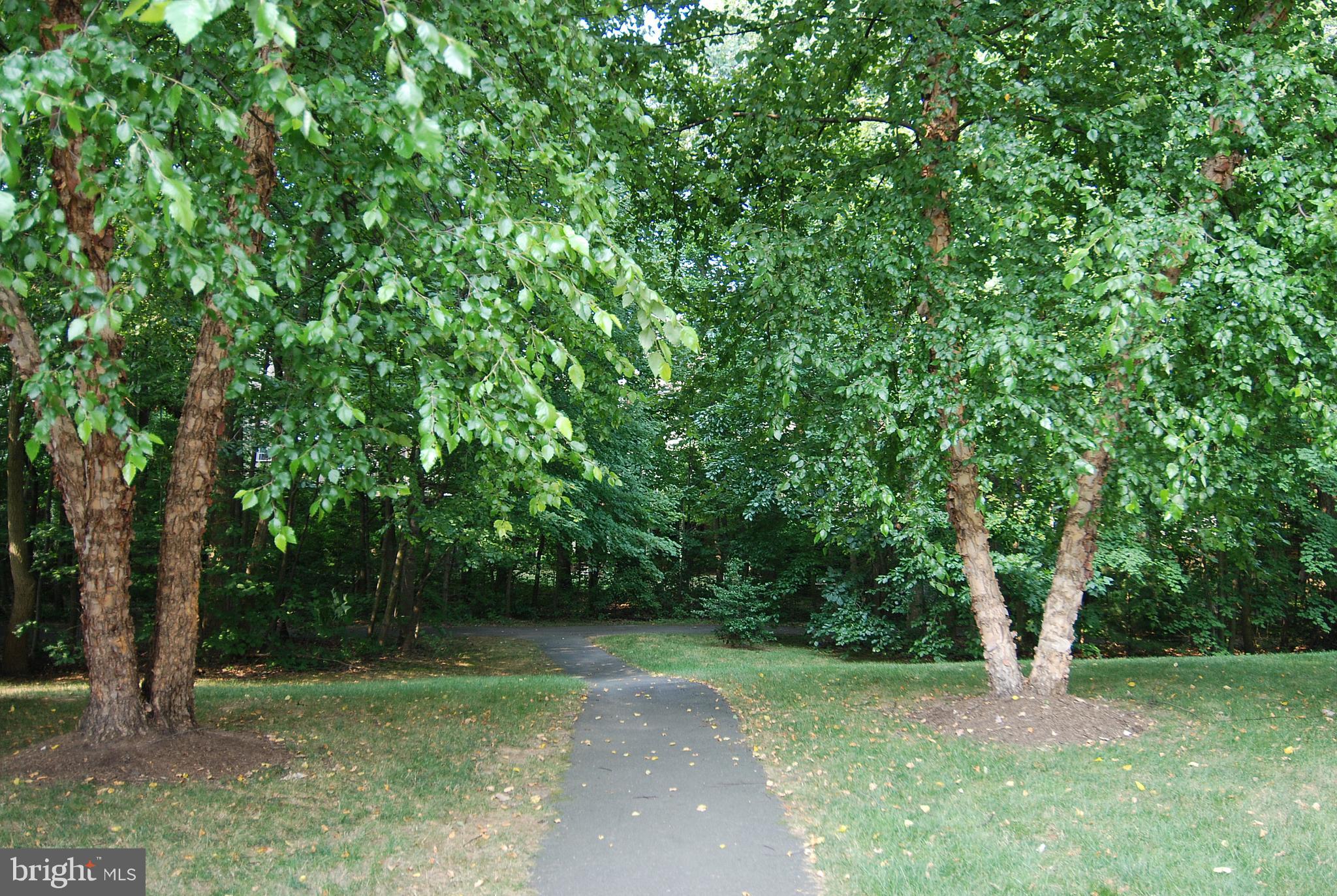 RESTON - Residential Lease