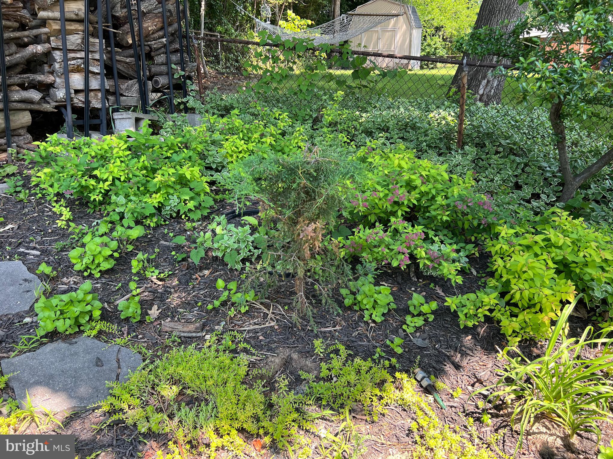 NEW CARROLLTON - Residential