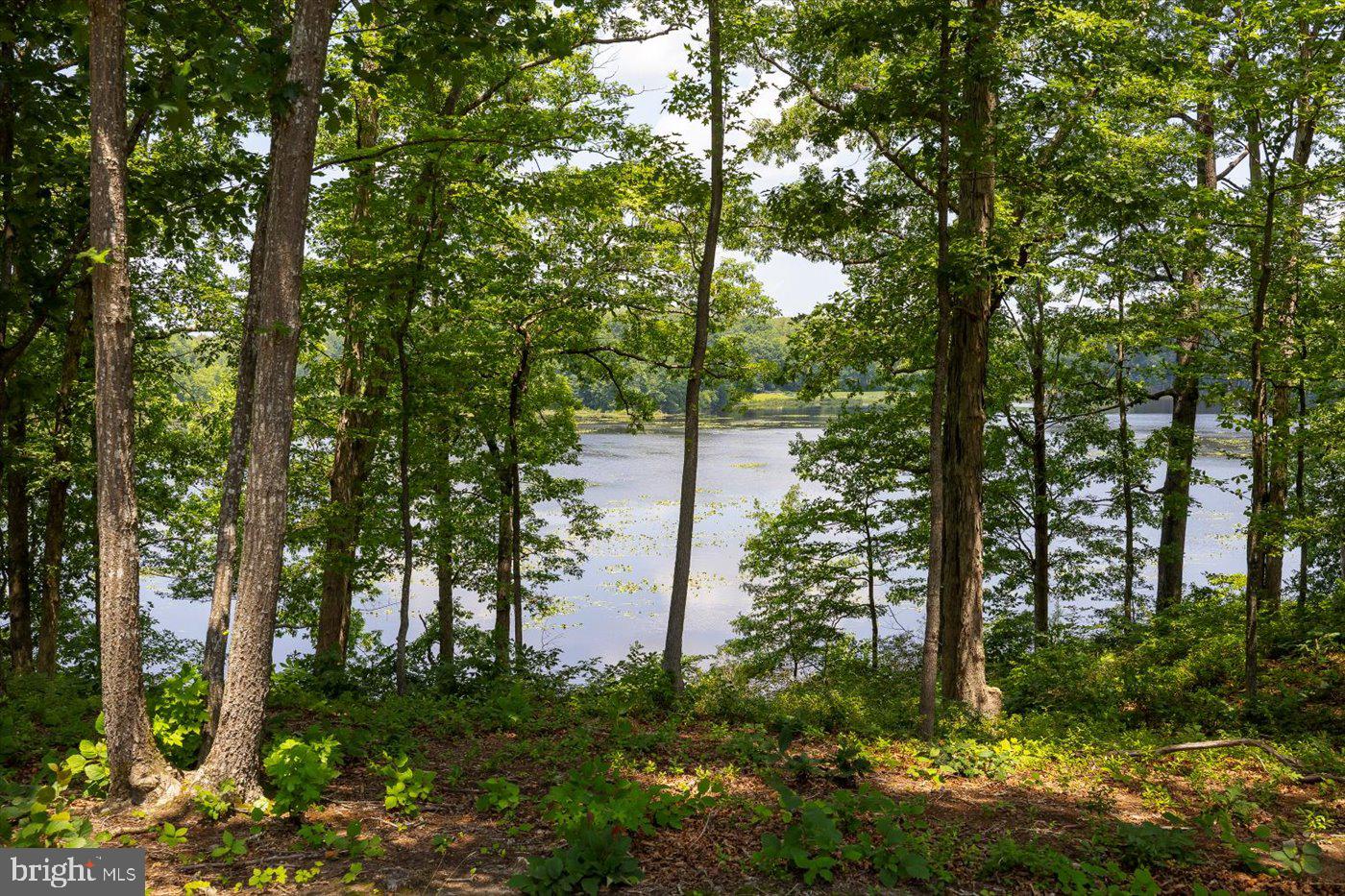 FORTUNES LANDING - Residential