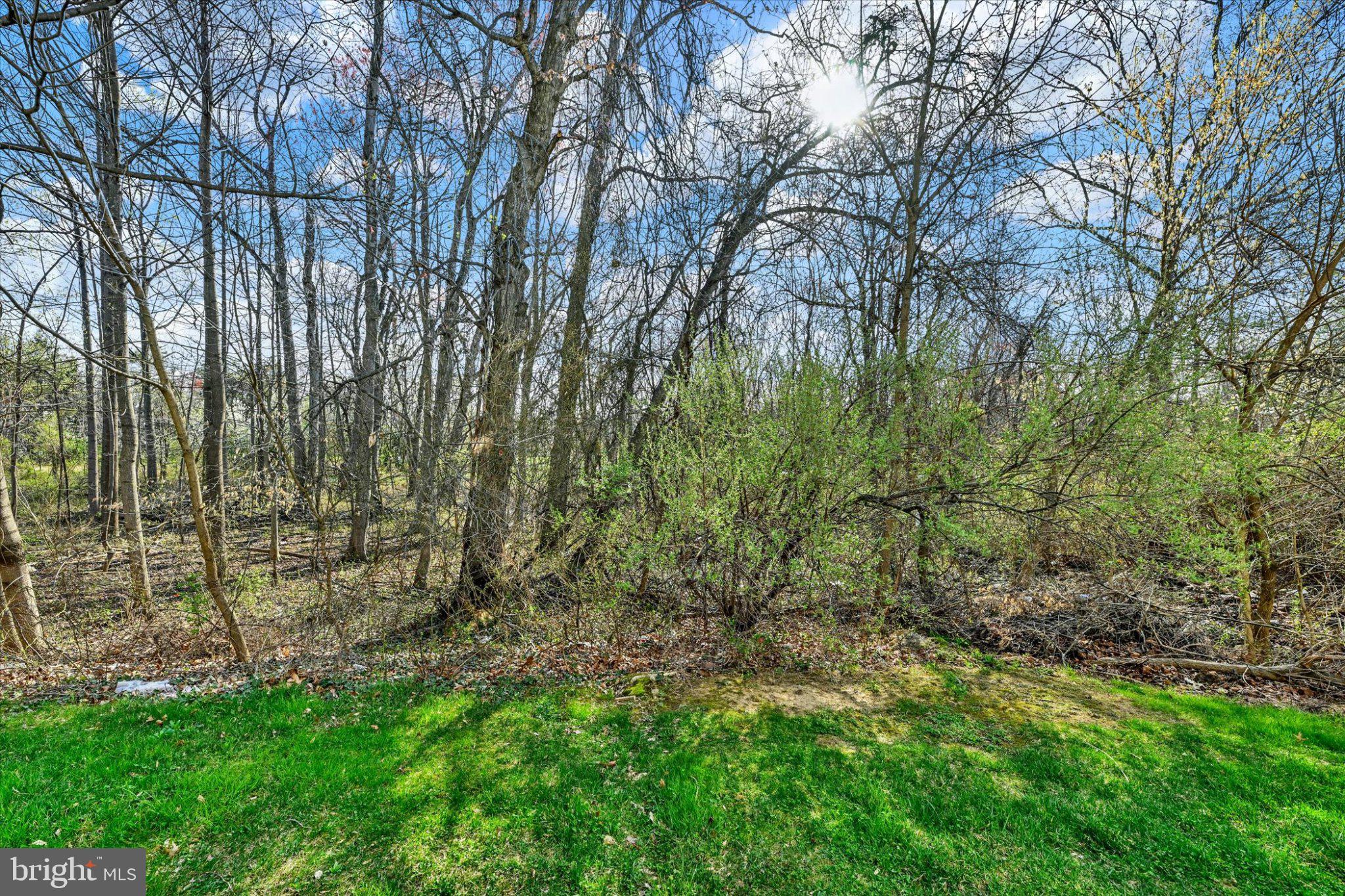 SNOWDEN RIDGE - Residential