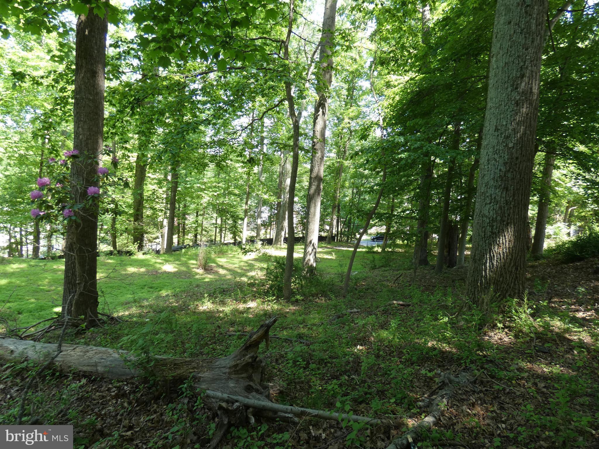 POTOMAC OUTSIDE - Land