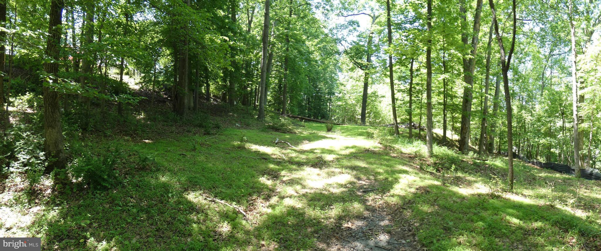 POTOMAC OUTSIDE - Land