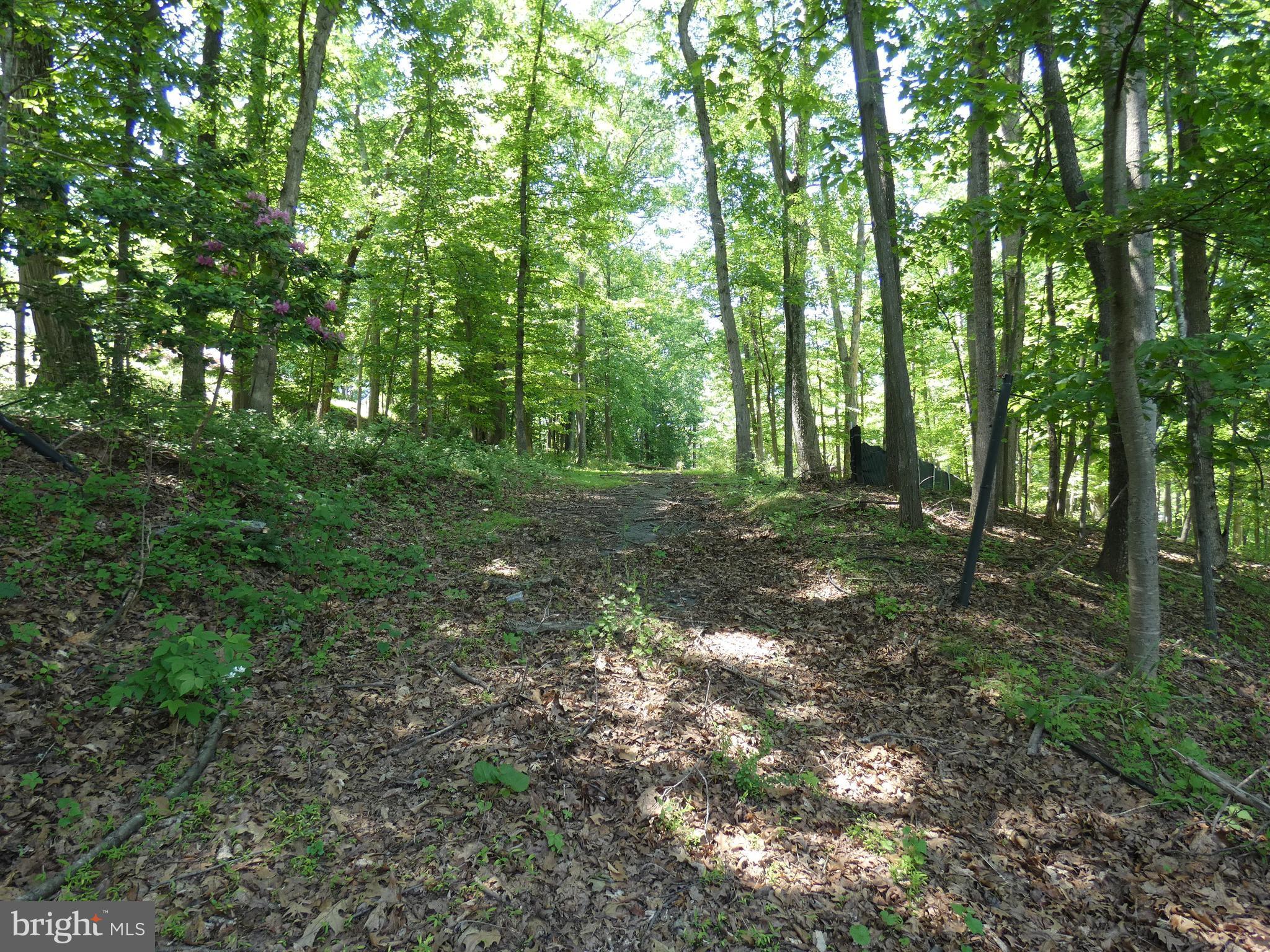 POTOMAC OUTSIDE - Land