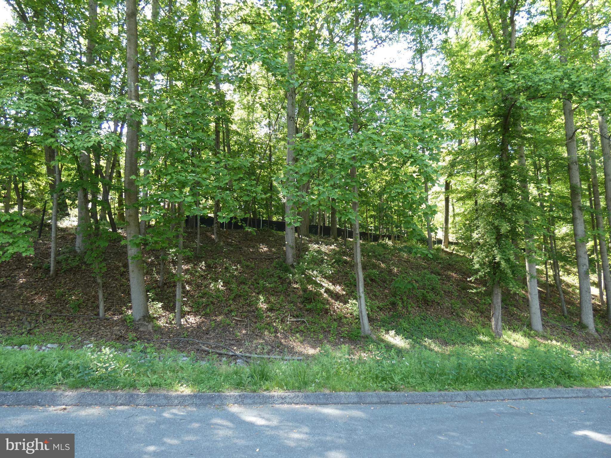 POTOMAC OUTSIDE - Land