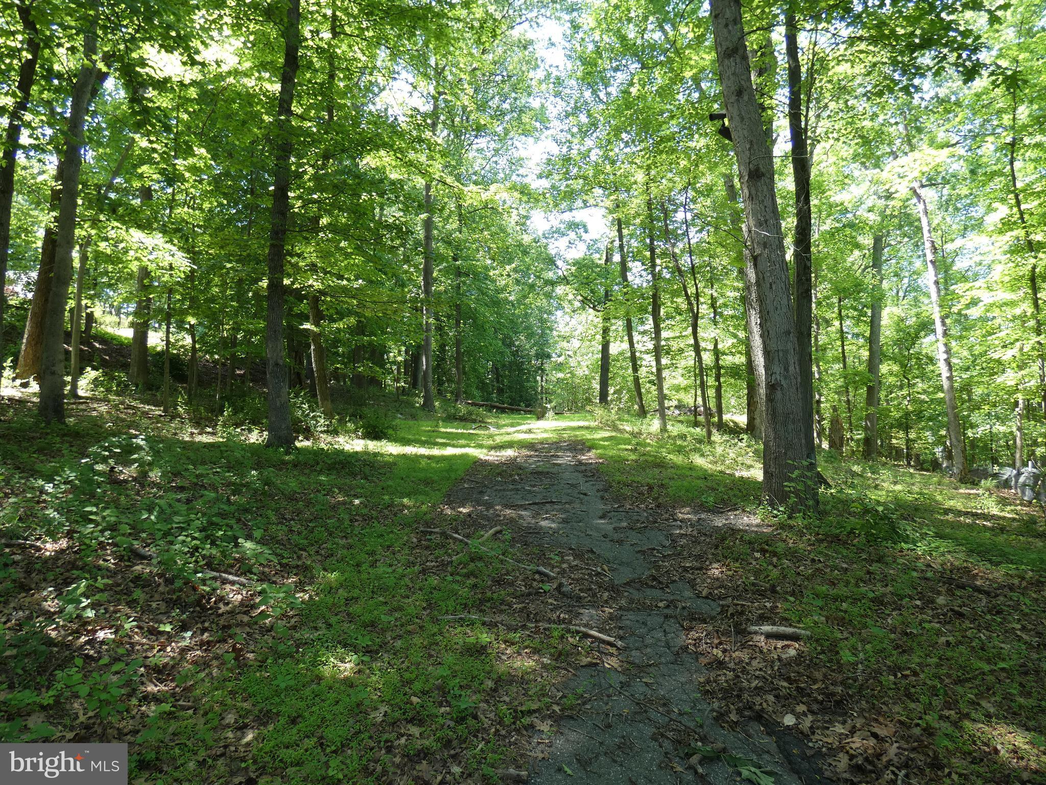 POTOMAC OUTSIDE - Land