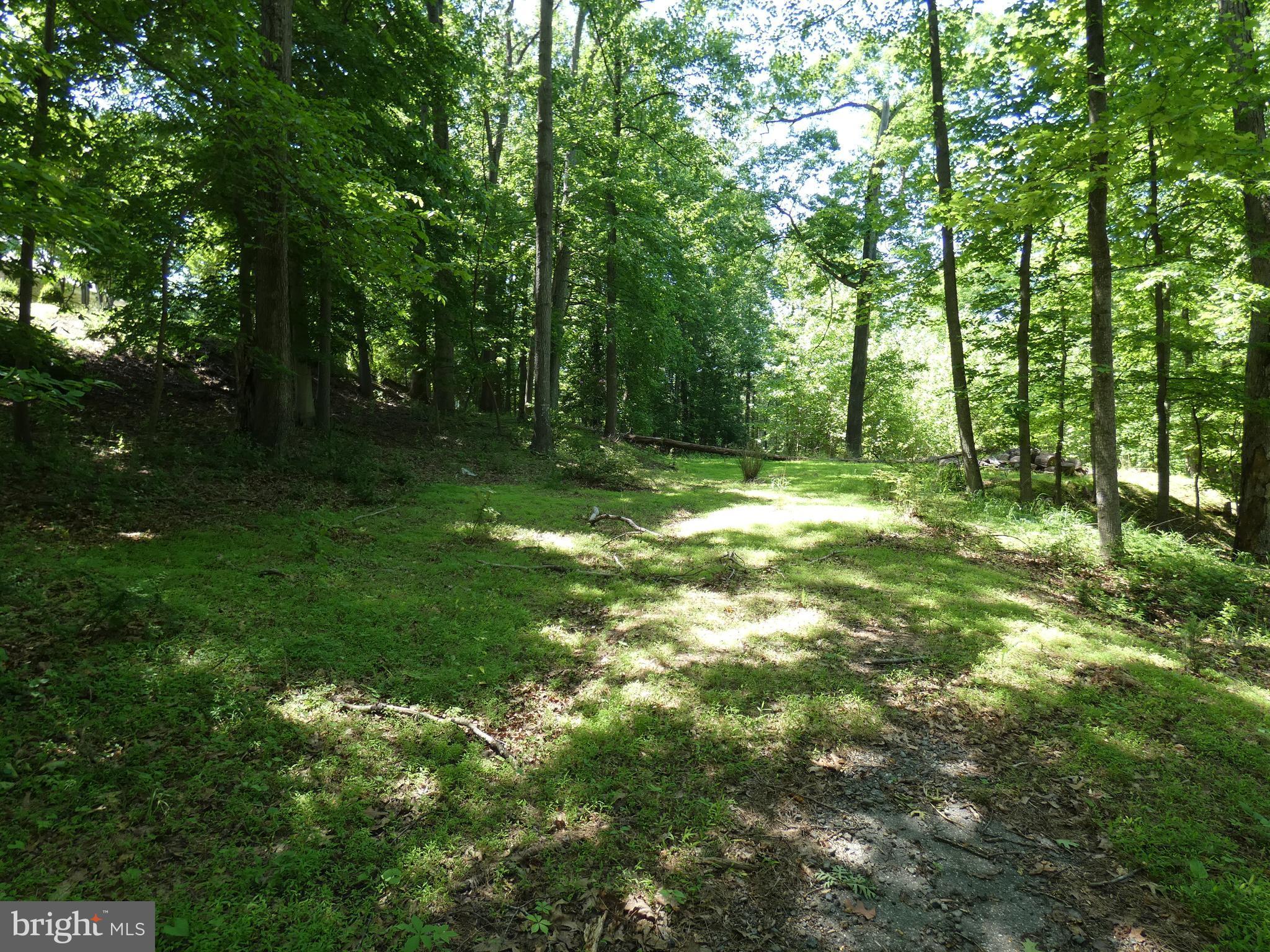 POTOMAC OUTSIDE - Land