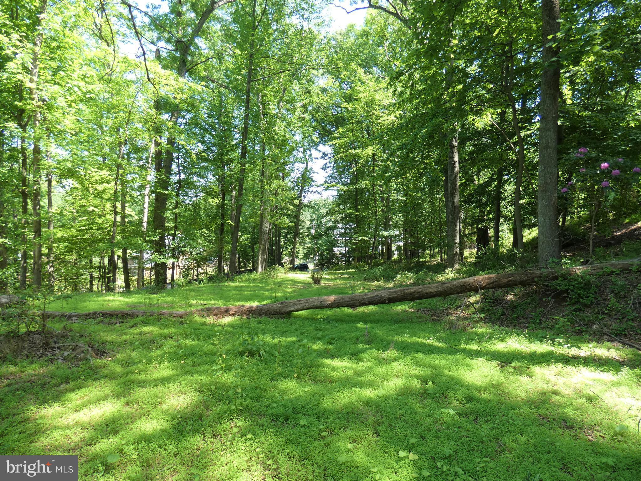 POTOMAC OUTSIDE - Land