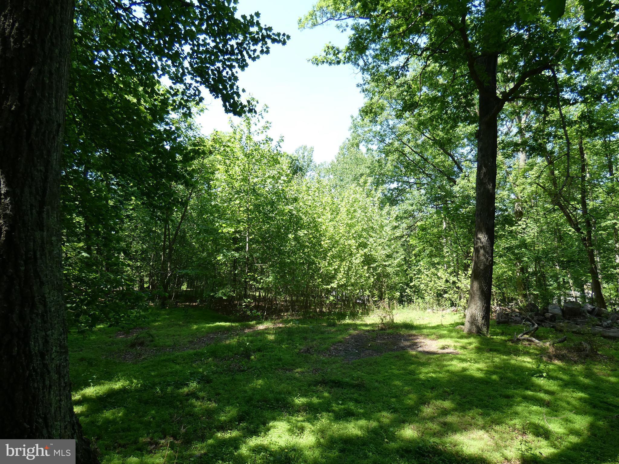 POTOMAC OUTSIDE - Land