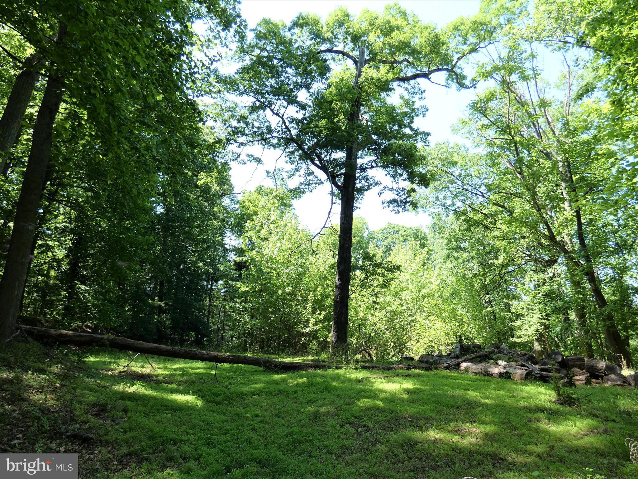 POTOMAC OUTSIDE - Land