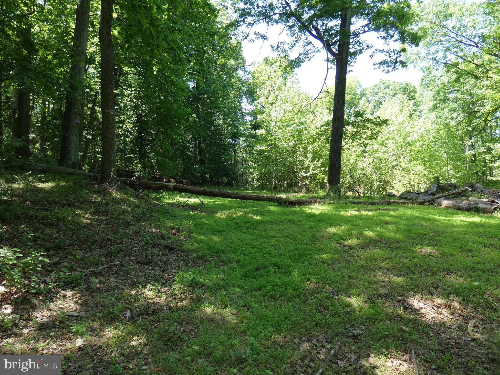 POTOMAC OUTSIDE - Land