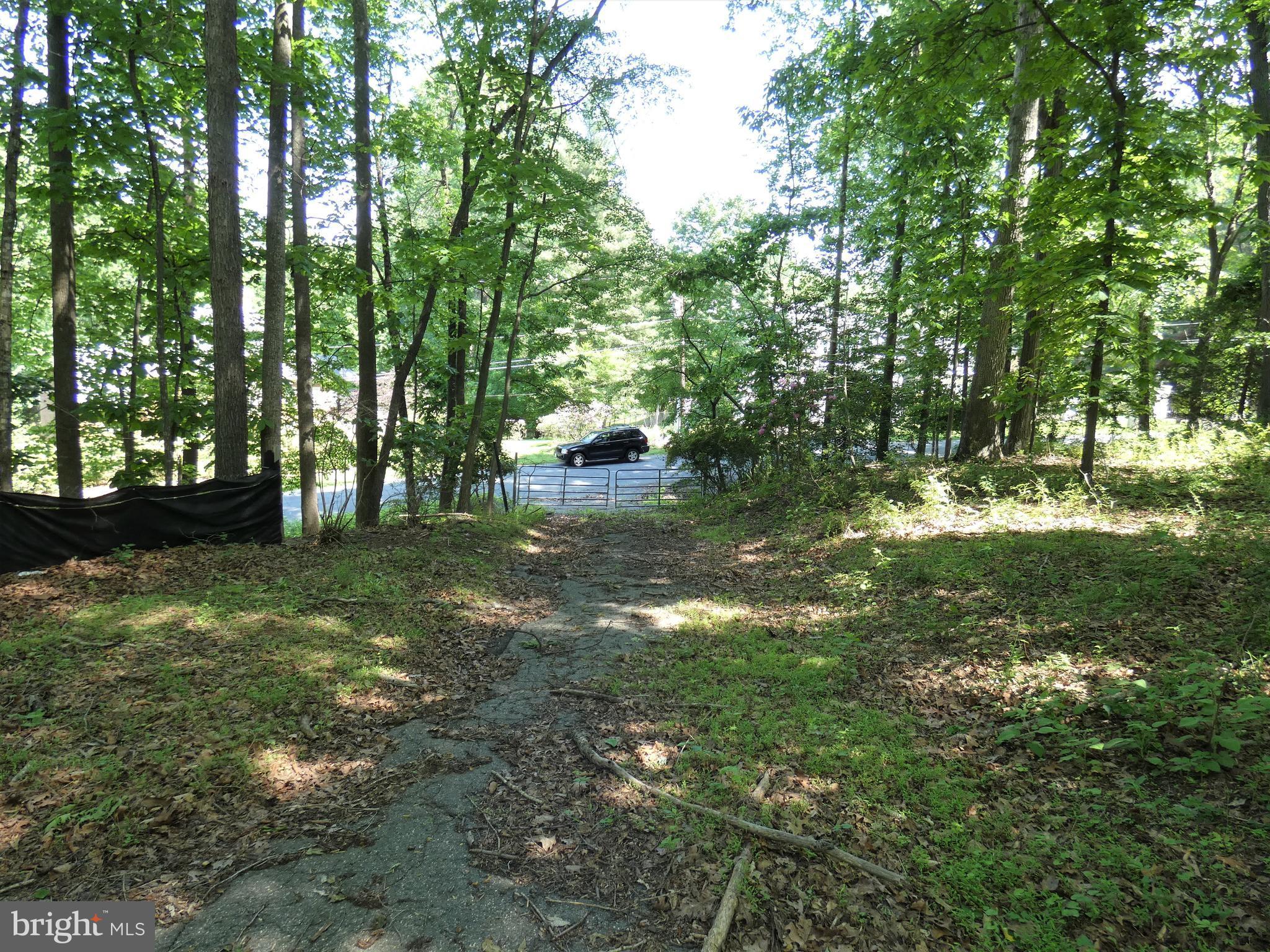 POTOMAC OUTSIDE - Land