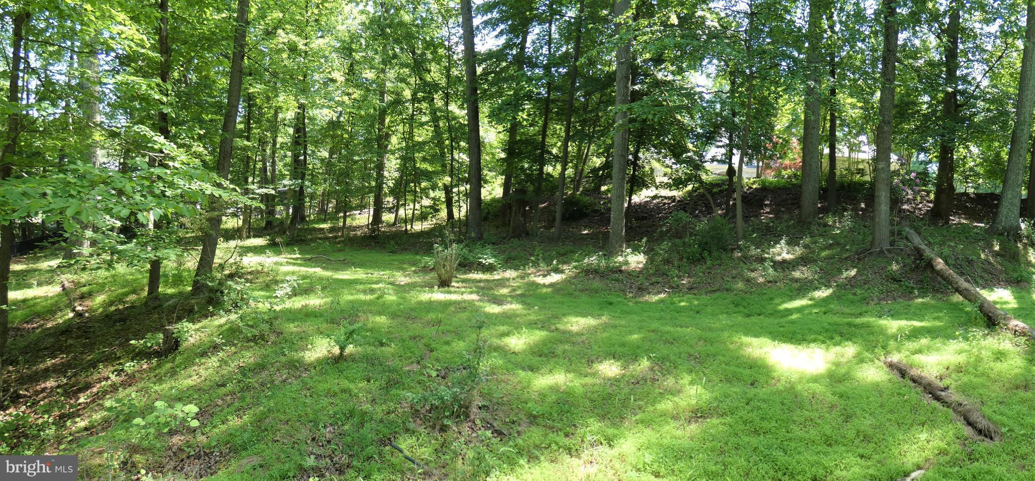 POTOMAC OUTSIDE - Land