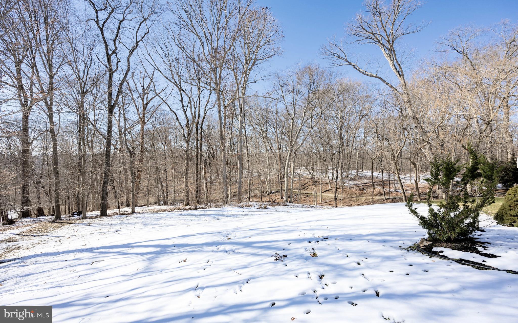 SHENANDOAH - Residential