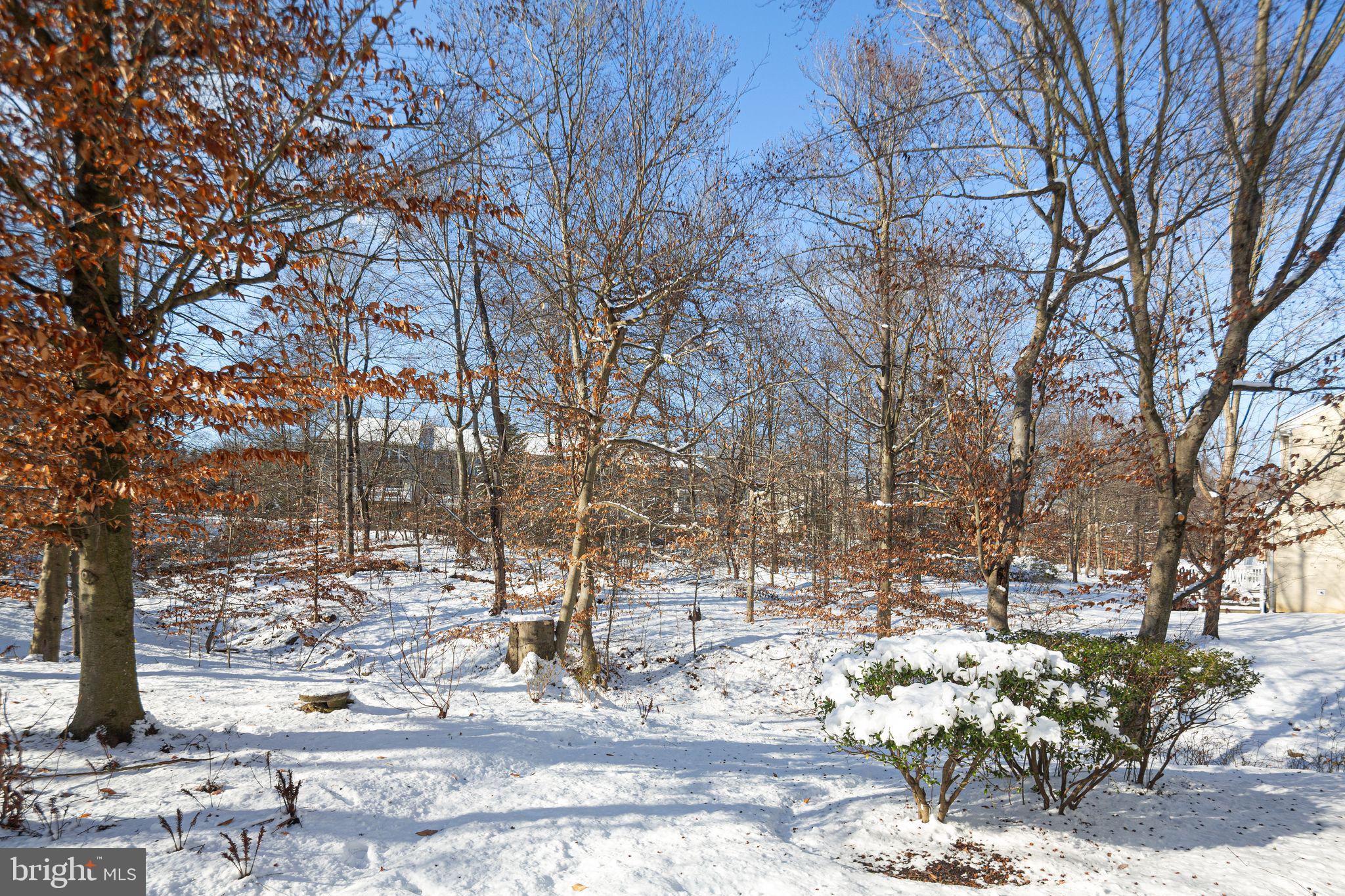 WILLISTOWN HUNT - Residential