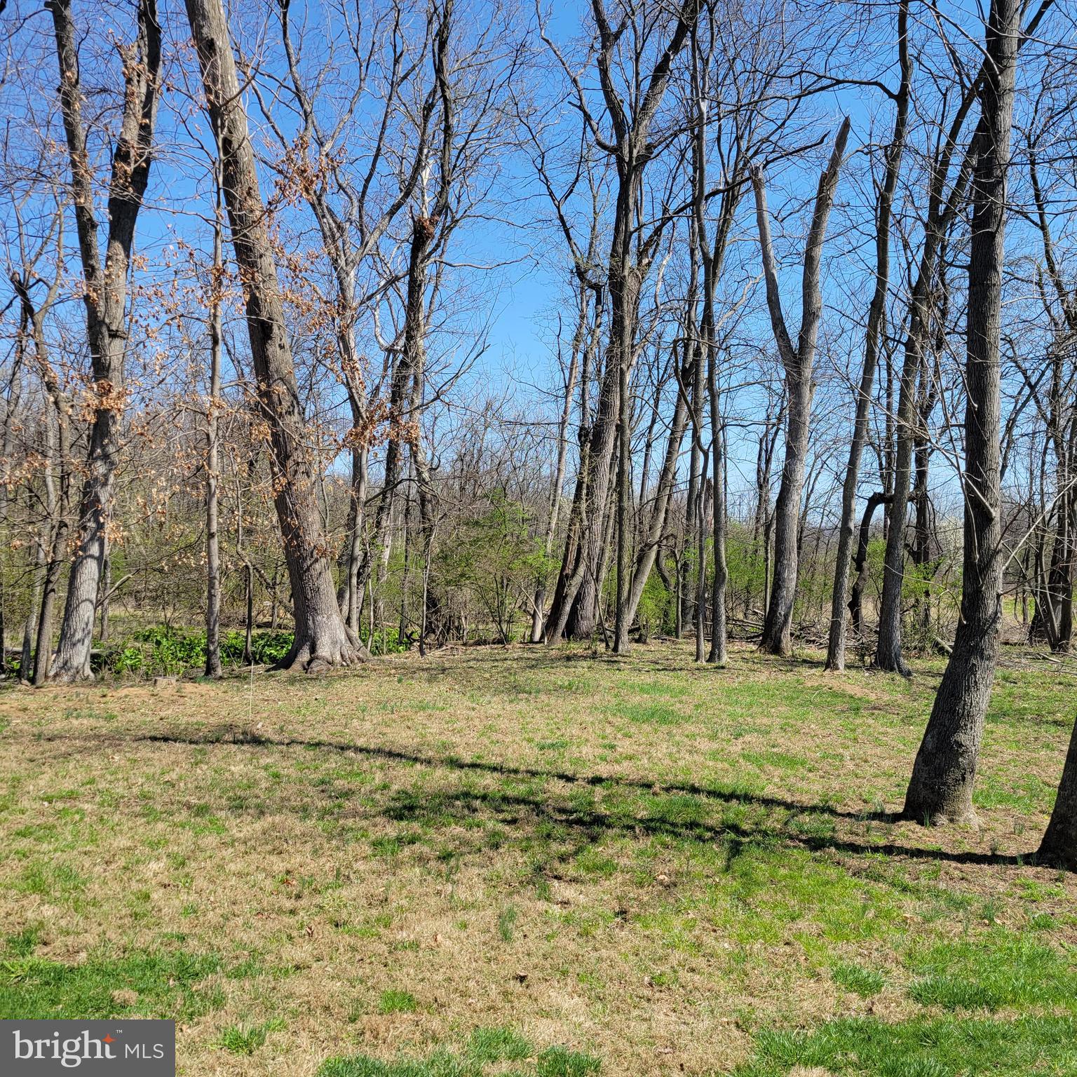 QUAIL RUN CONDOS - Residential