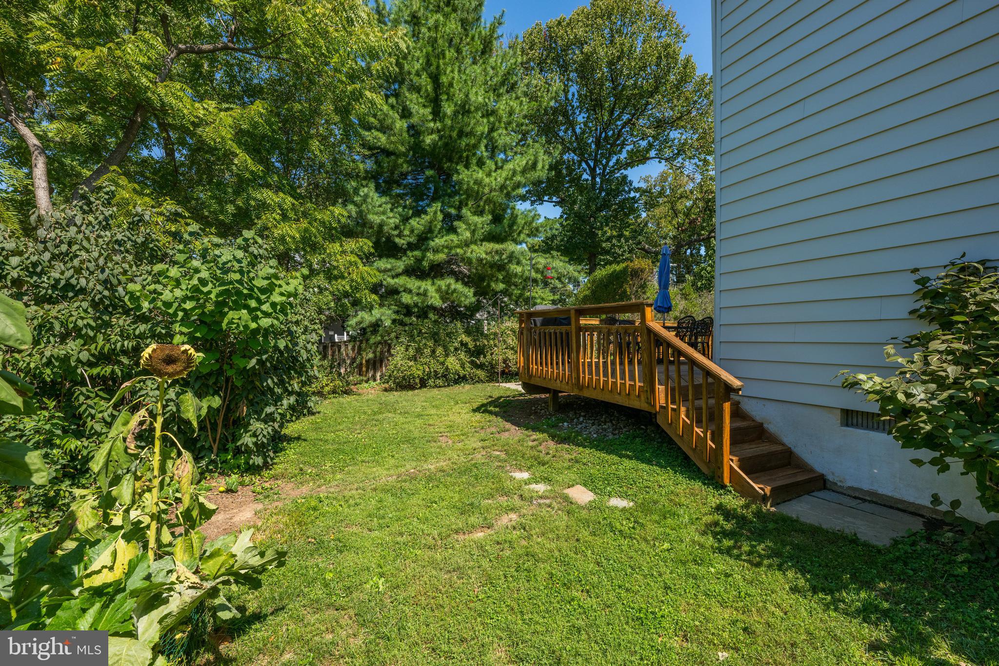 COLUMBIA FOREST - Residential