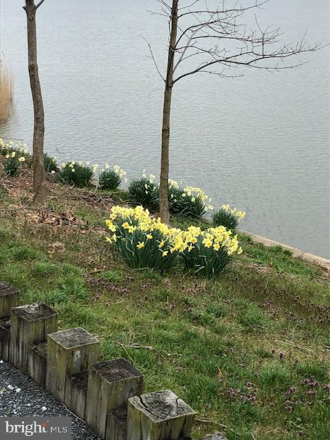 WATERS EDGE - Residential