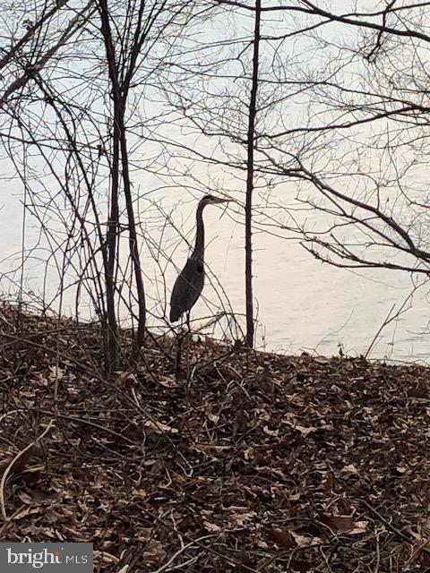 WATERS EDGE - Residential