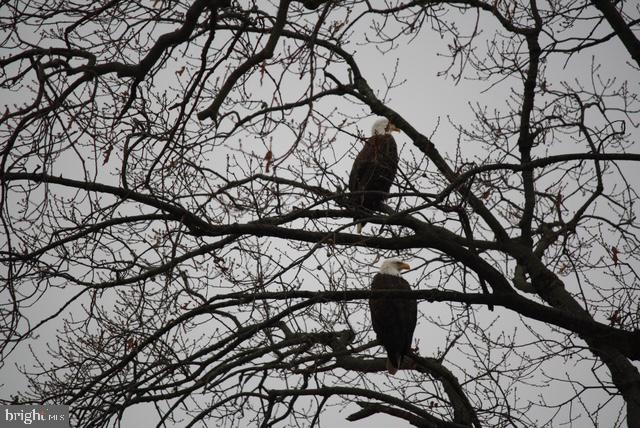 WATERS EDGE - Residential