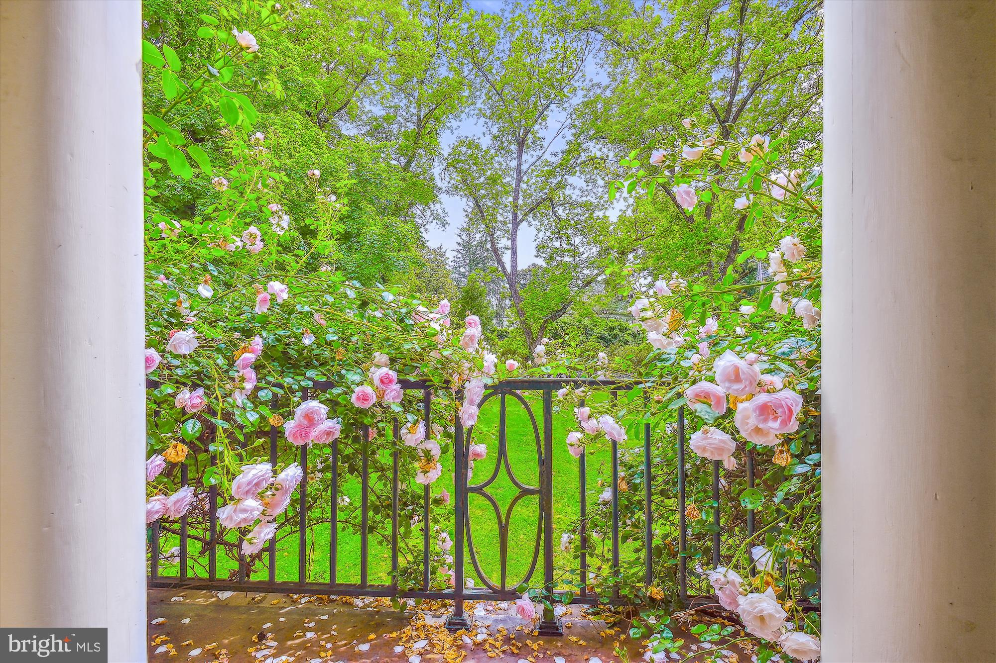 RUXTON/WOODBROOK - Residential