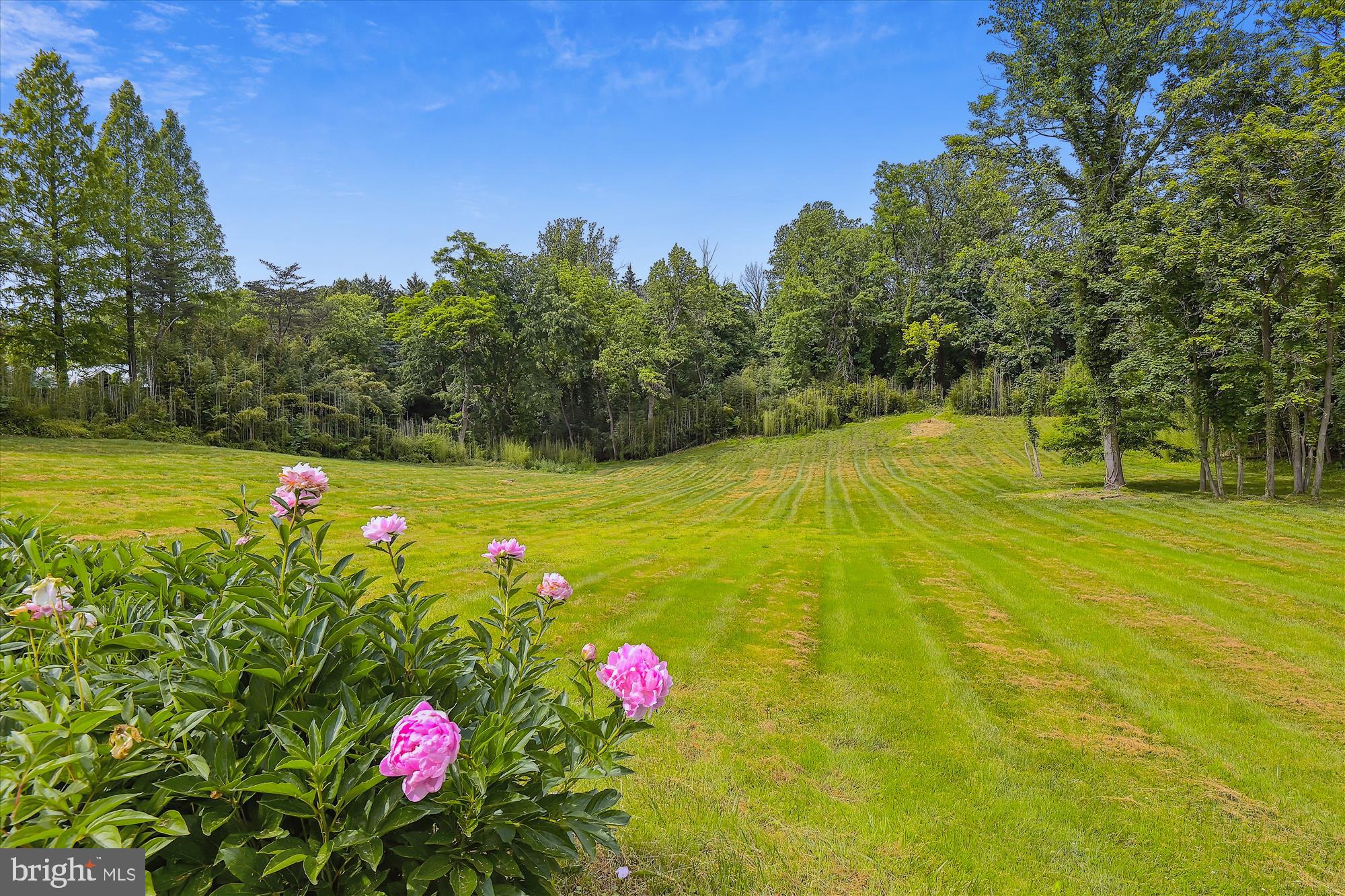 RUXTON/WOODBROOK - Residential