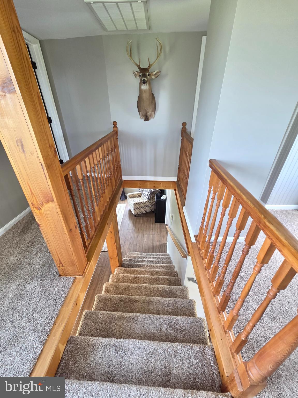 2716 TODDVILLE ROAD