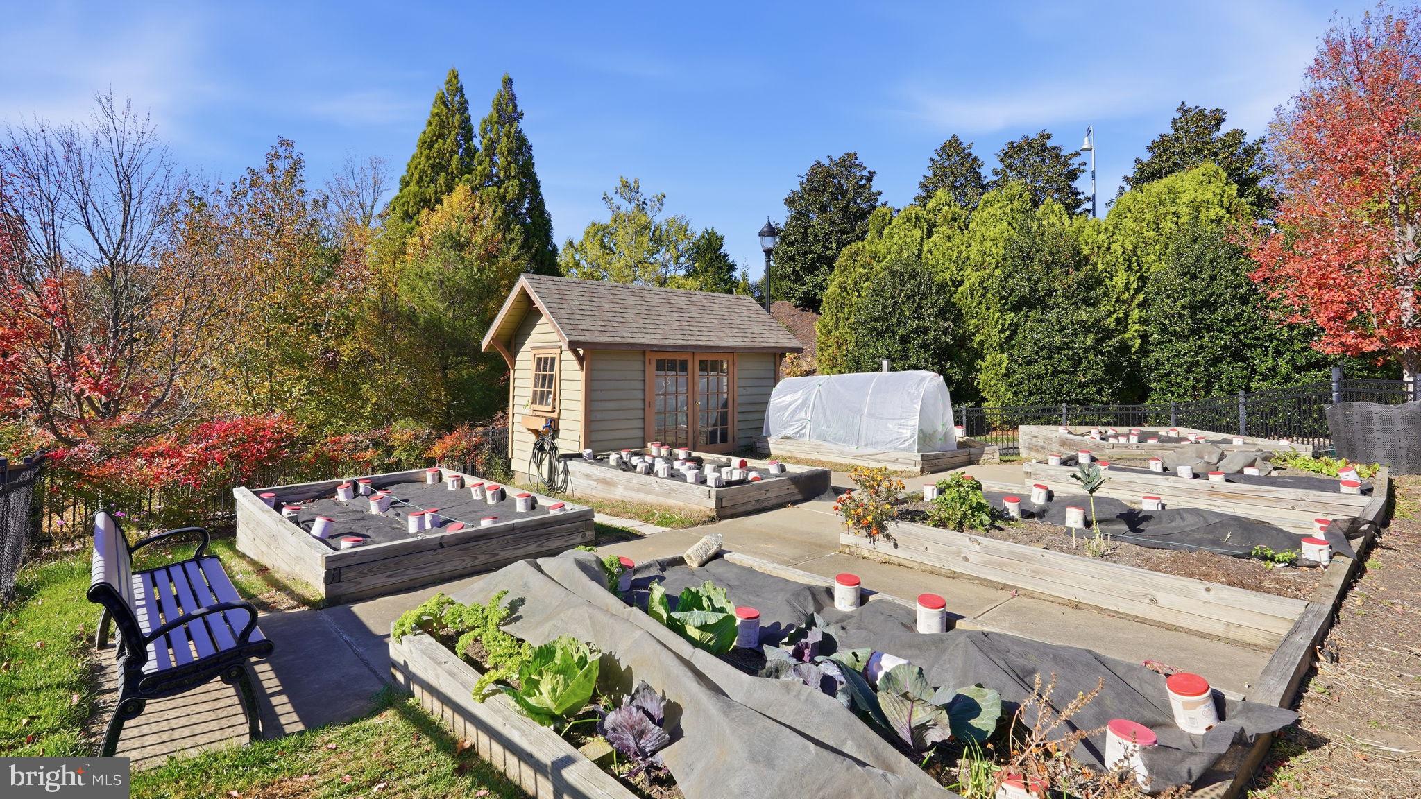 CELEBRATE VIRGINIA NORTH - Residential