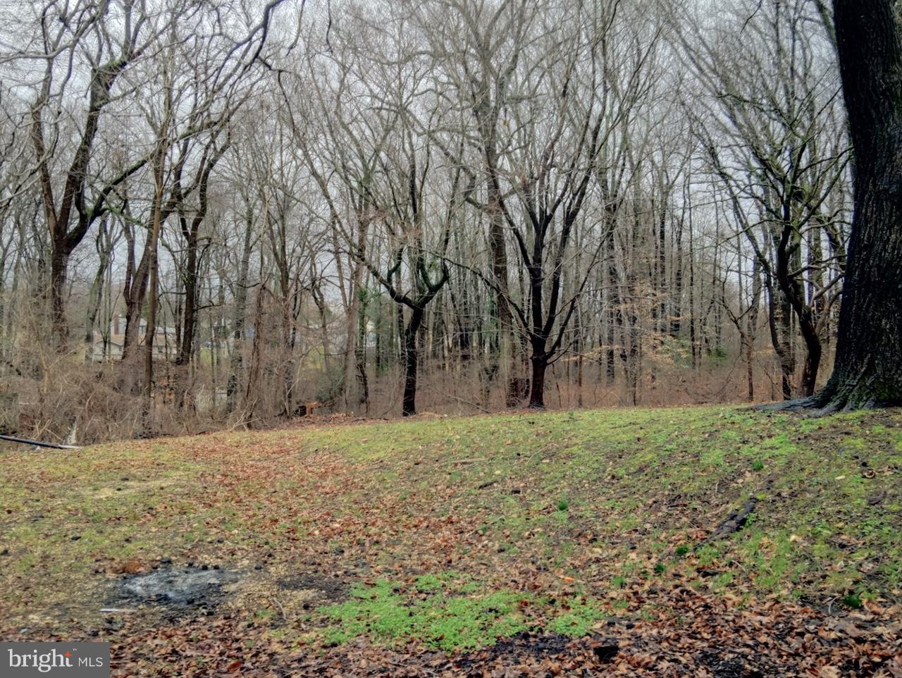 BROOKS HAVEN - Residential Lease