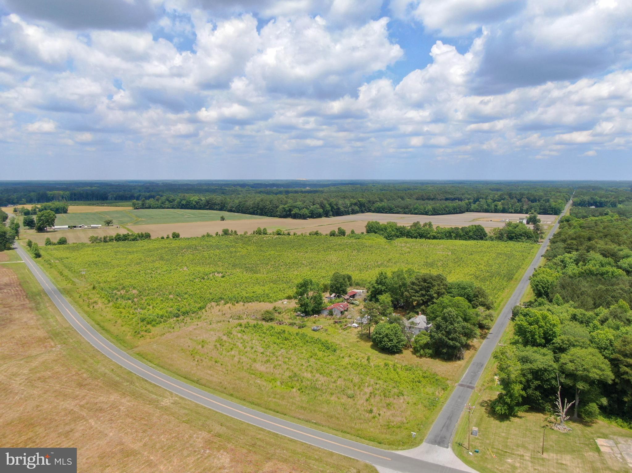 42 acre parcel with road frontage on Upper Ferry Road and Walnut Tree Road. The property consists of 29+/- acres of shrub and grasses, 1.5 acres in residential, and 9.5+/- timber acres. Property is being sold as is, where is. House is considered to have no value. Property is not enrolled in any conservation programs or encumbered by any easements.