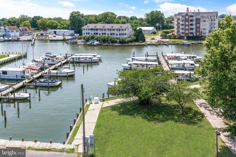 700 CATTAIL COVE 408 CAMBRIDGE MD 21613