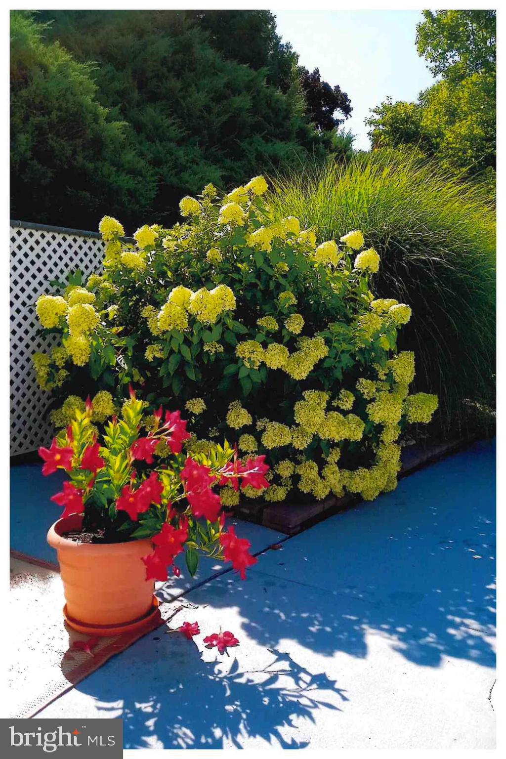 GOOD HOPE FARMS - Residential