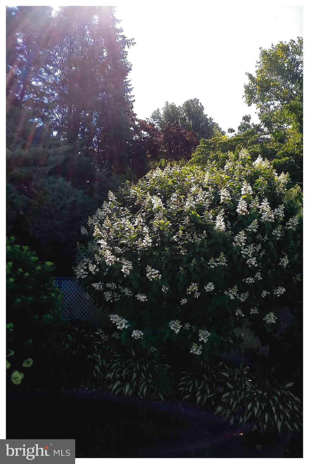 GOOD HOPE FARMS - Residential