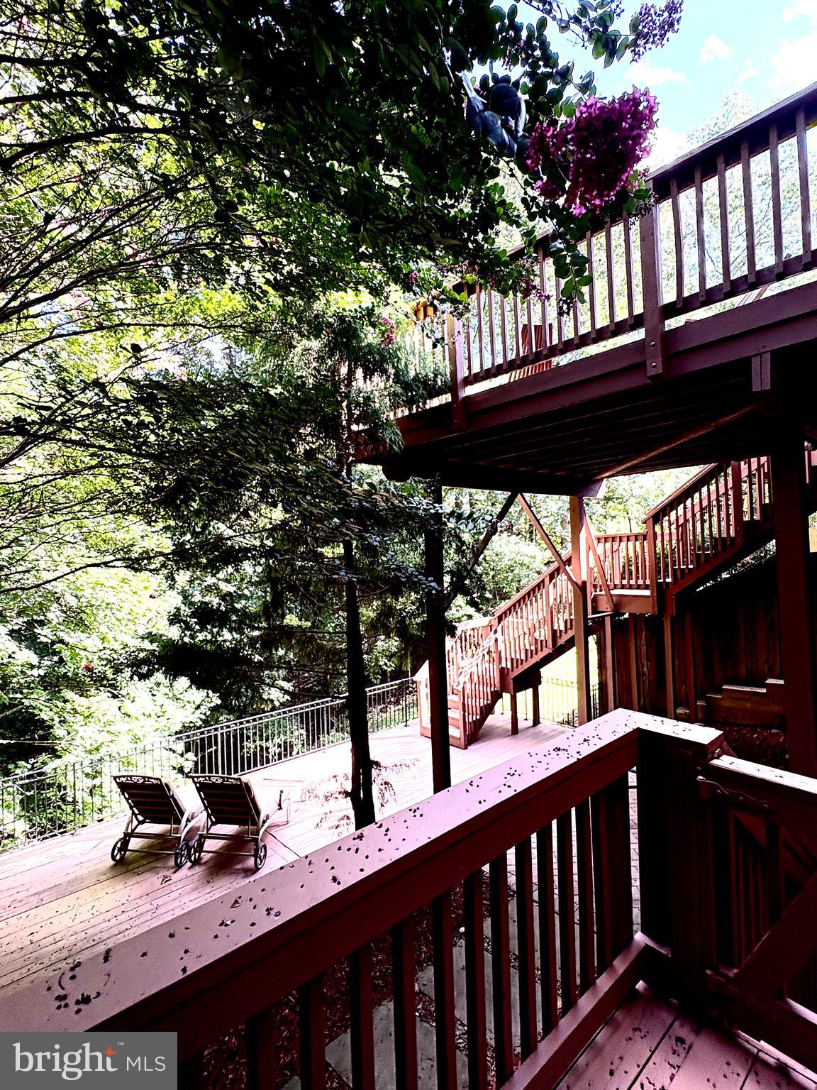 11107 POTOMAC CREST DRIVE