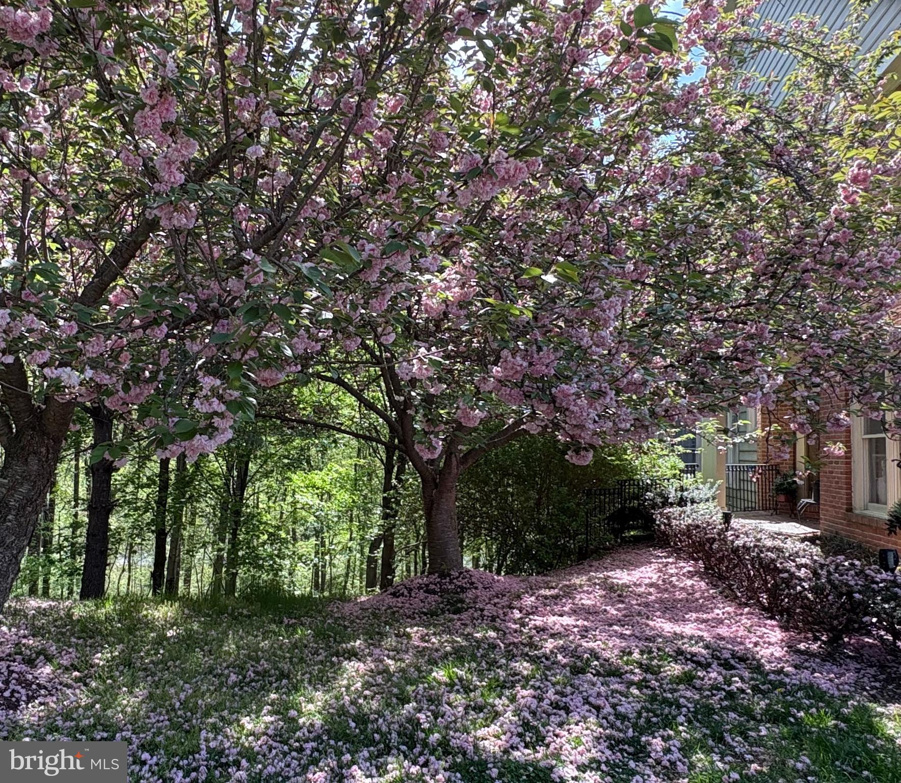 11107 POTOMAC CREST DRIVE
