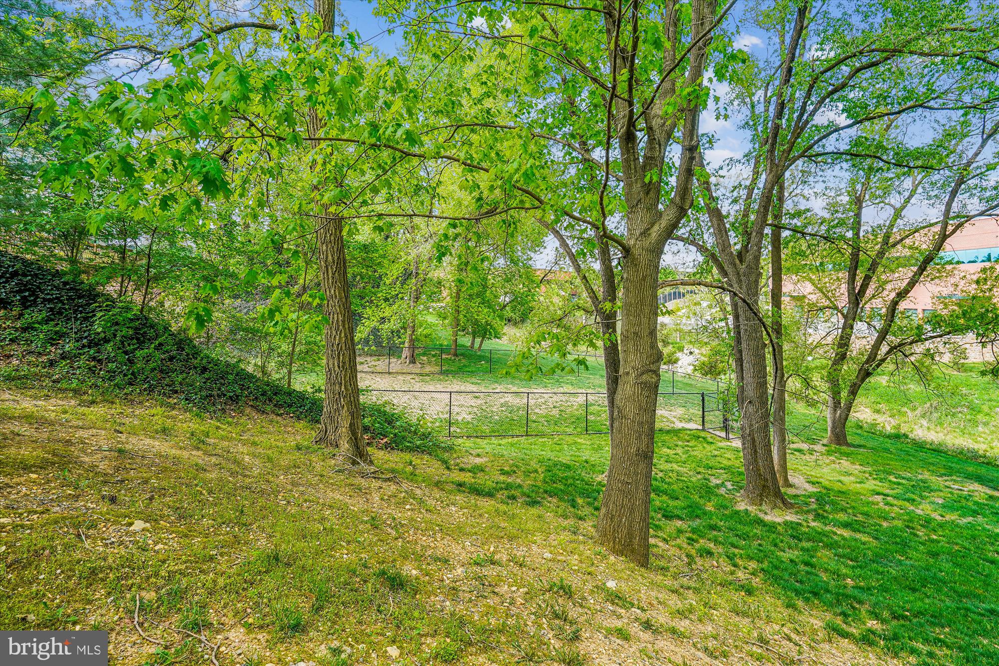 WINDY HILL AT LINCOLNIA - Residential