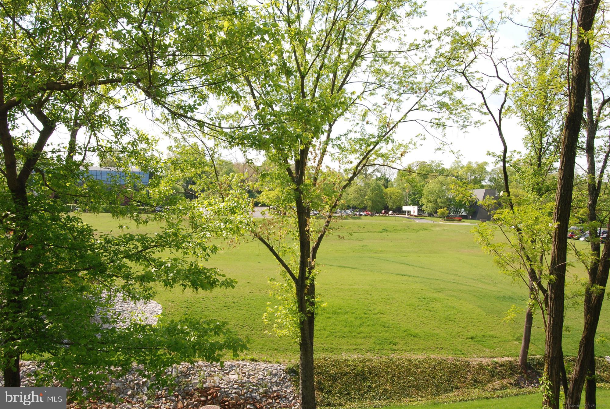 WINDY HILL AT LINCOLNIA - Residential