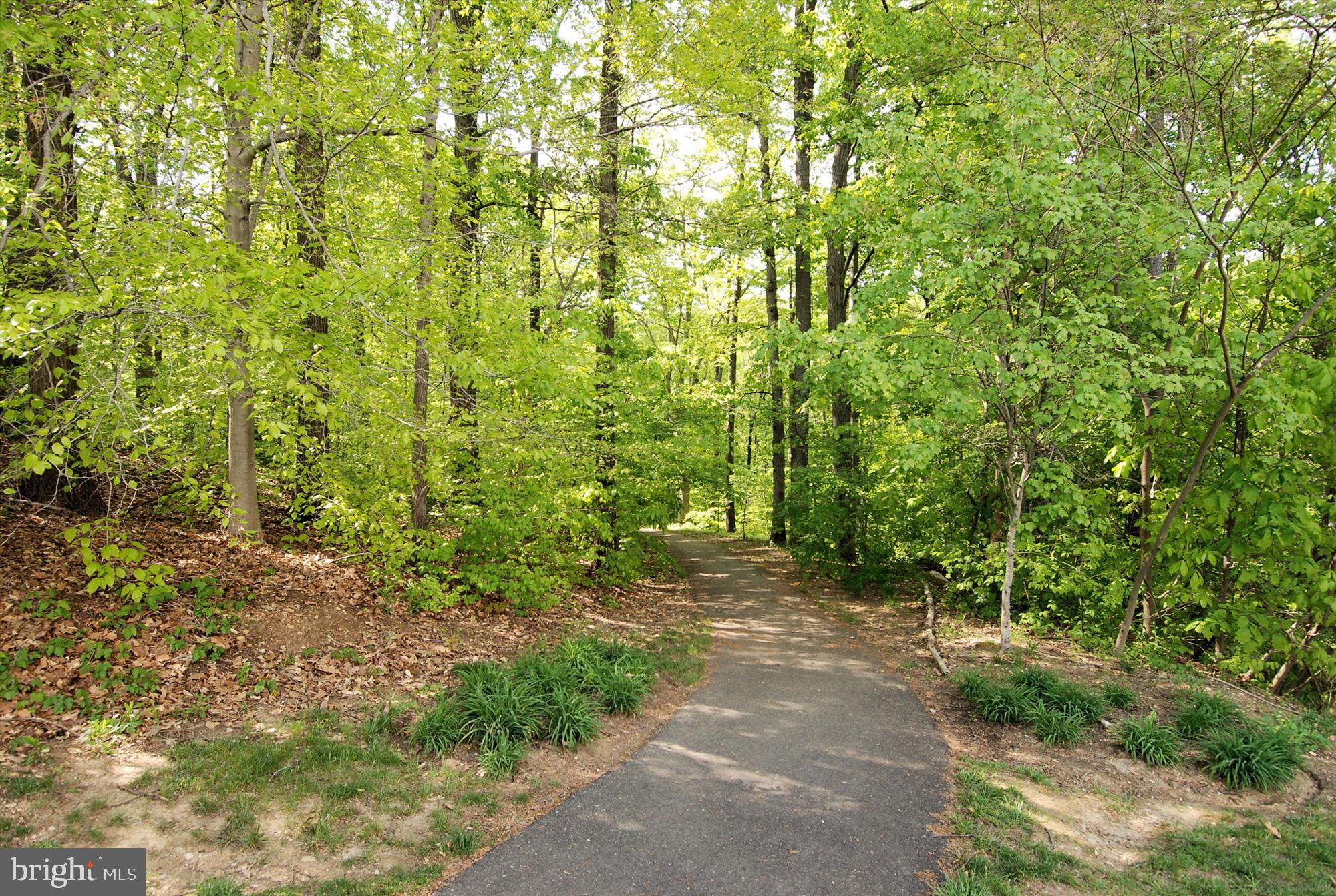 WINDY HILL AT LINCOLNIA - Residential