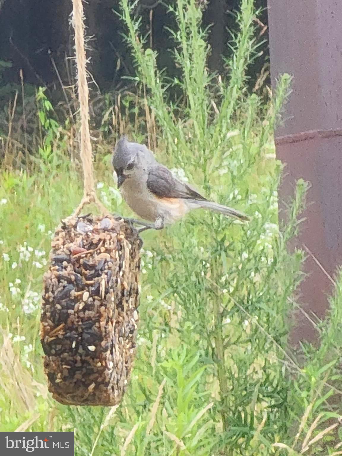 WHISPERING PINES - Residential