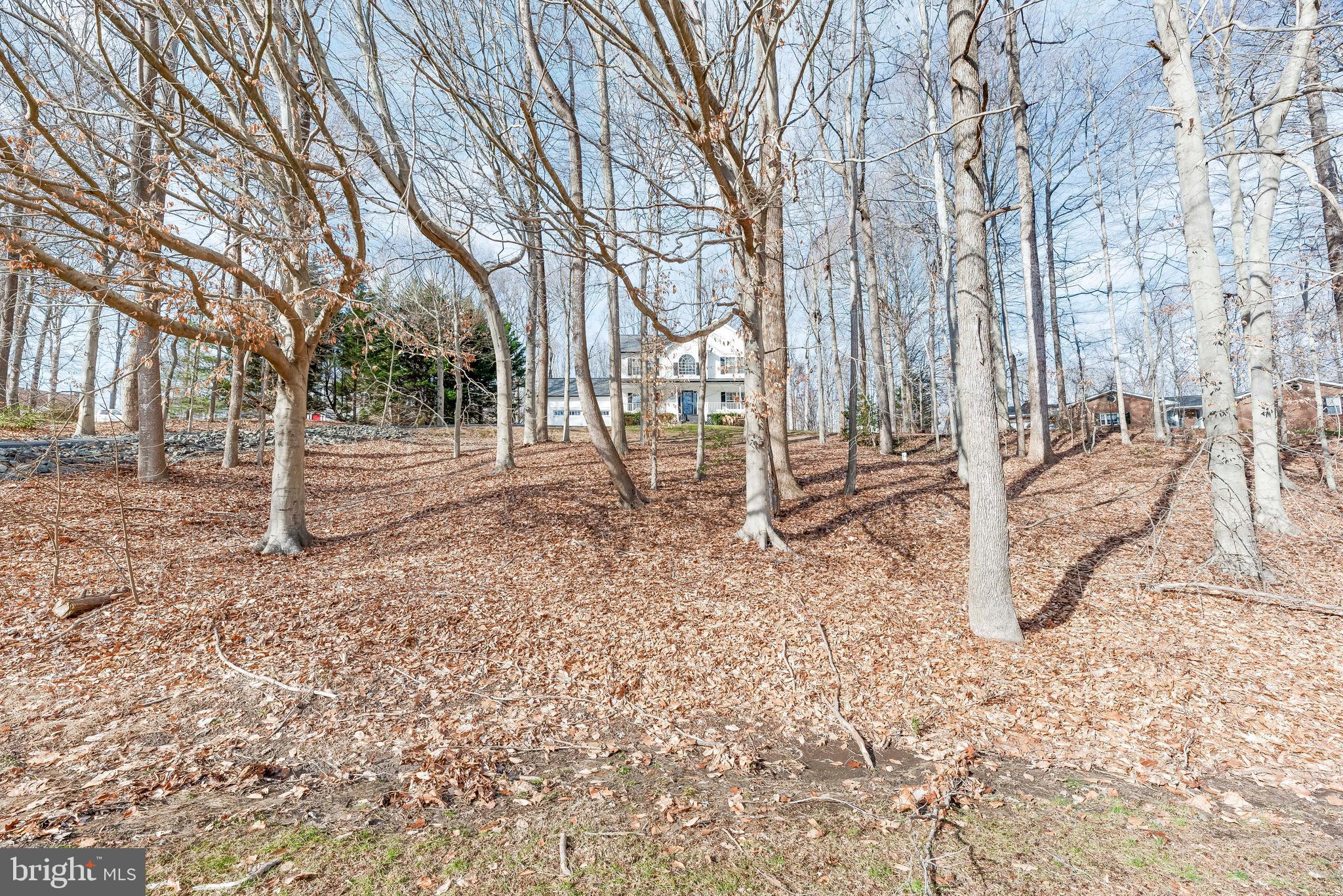 AMBER WOODE - Residential