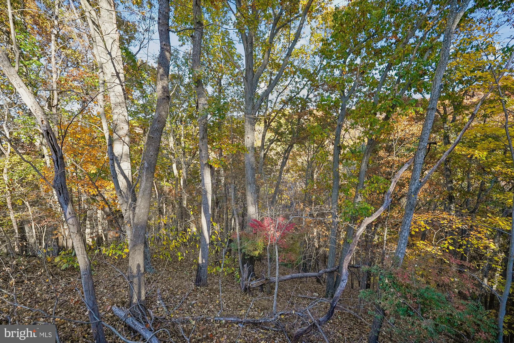 SHENANDOAH RETREAT - Residential